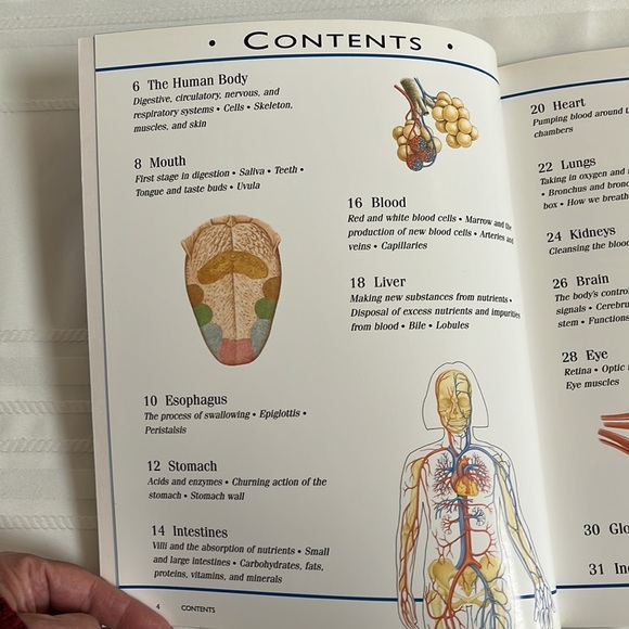 The Incredible Journey Through The Human Body by Nicholas Harris BOOK - Picture 7 of 13